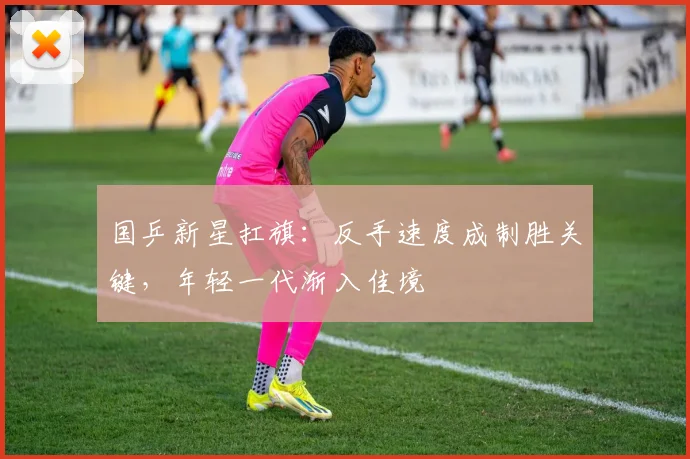 国乒新星扛旗：反手速度成制胜关键，年轻一代渐入佳境 - 搜狐体育资讯