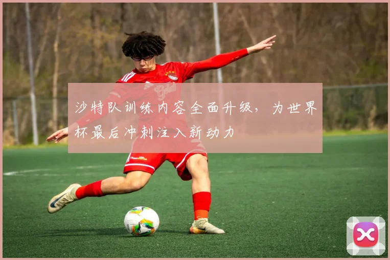 沙特队训练内容全面升级,为世界杯最后冲刺注入新动力 - 搜狐体育推荐