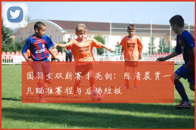 国羽女双新赛季亮剑:陈清晨贾一凡瞄准赛程与后场短板 - 搜狐体育推荐