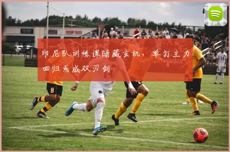 印尼队训练课暗藏玄机,单打主力回归或成双刃剑 - 搜狐体育推荐