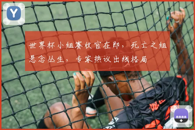 世界杯小组赛收官在即,死亡之组悬念丛生,专家热议出线格局 - 搜狐体育推荐