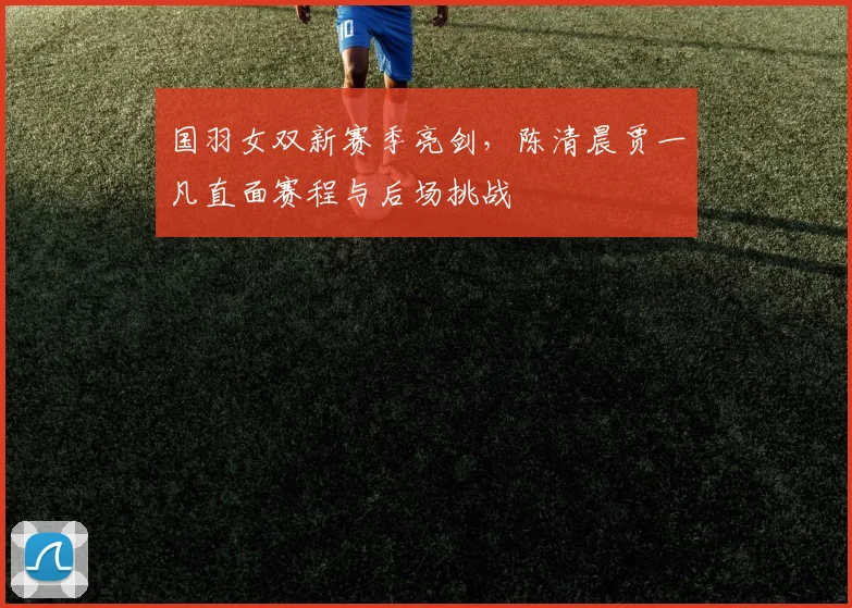 国羽女双新赛季亮剑,陈清晨贾一凡直面赛程与后场挑战 - 搜狐体育推荐